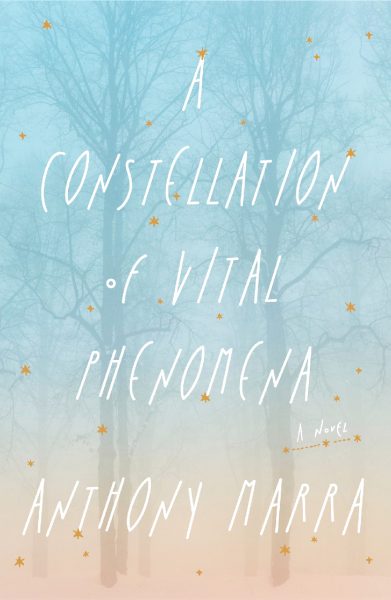 Cover of A Constellation of Vital Phenomena