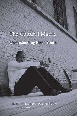 The Cultural Matrix: Understanding Black Youth