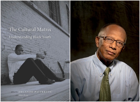 Orlando Patterson The Cultural Matrix